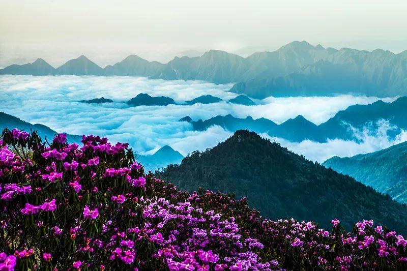 新夺宝英雄